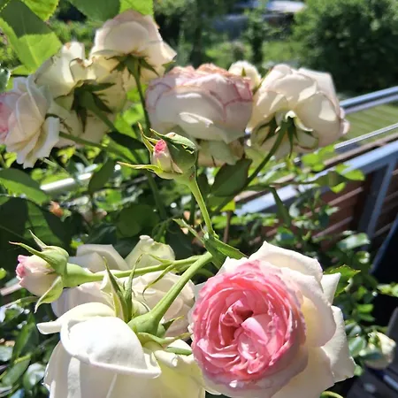 Haus Isabella דירה היטיסאו